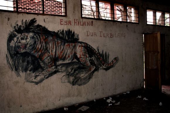 Lose one, get two parkinson05.jpg