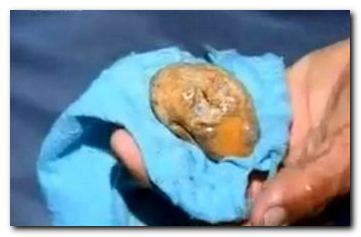 ponari2_utube-still ponari2_utube-still.jpg